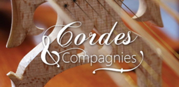 Cordes et compagnies